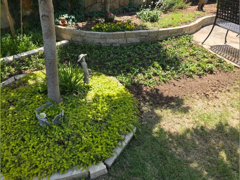 Backyard garden bed renovation before and after — Wylie, TX | Collin County Handyman Company